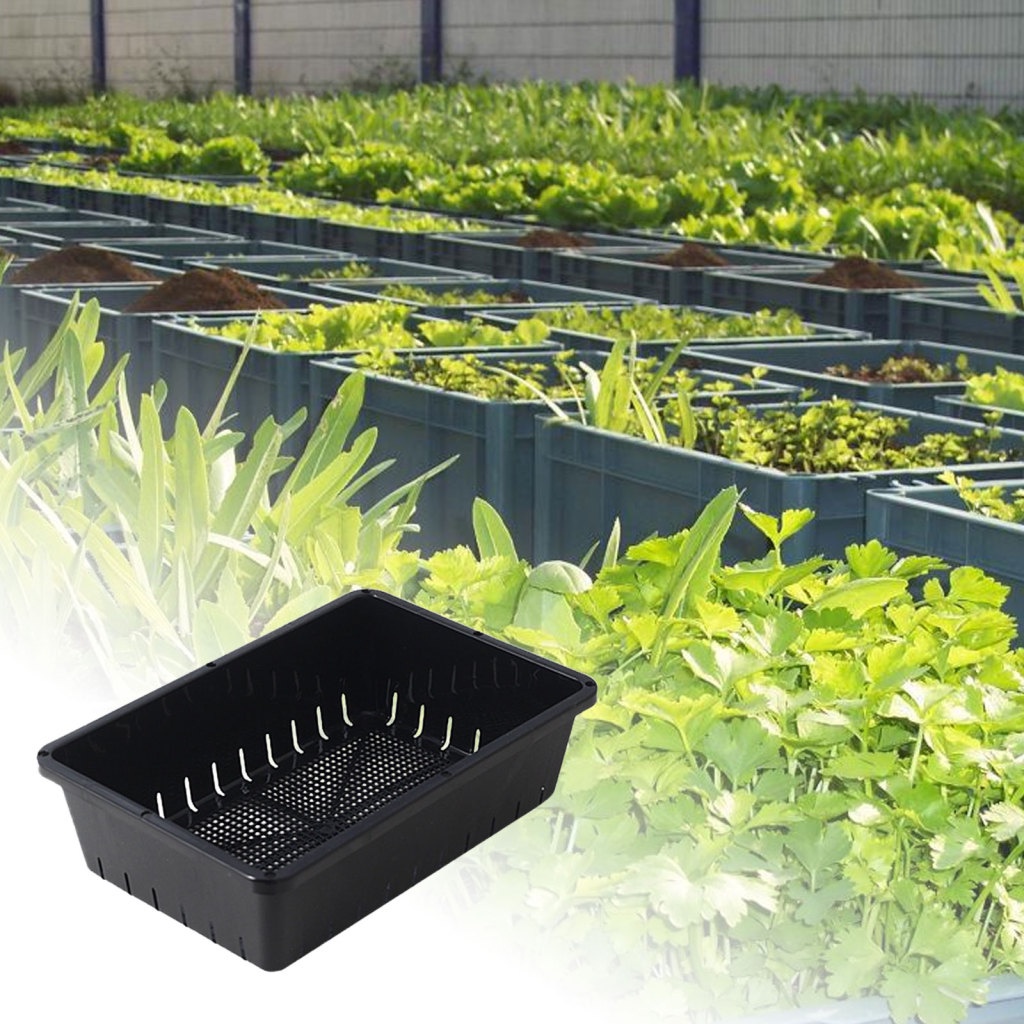 Microgreen Trays Leaf Inserting Seedling Pot Recyclable Reusable Black