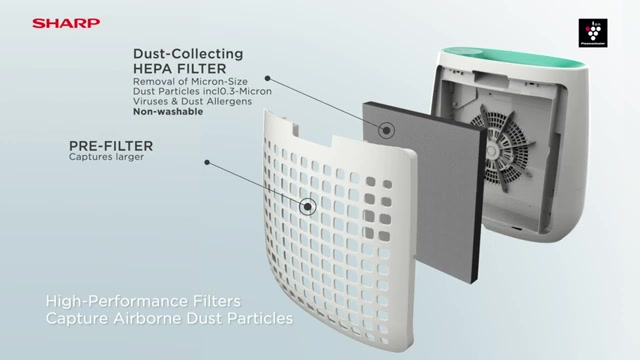 Sharp Air purifier filter FZ-F30HFE FP-J30TA FZ-Y28FE FP-F30L-H FPJ30LA FP-F30Y AirpurifierReplacement HEPA filter SS45