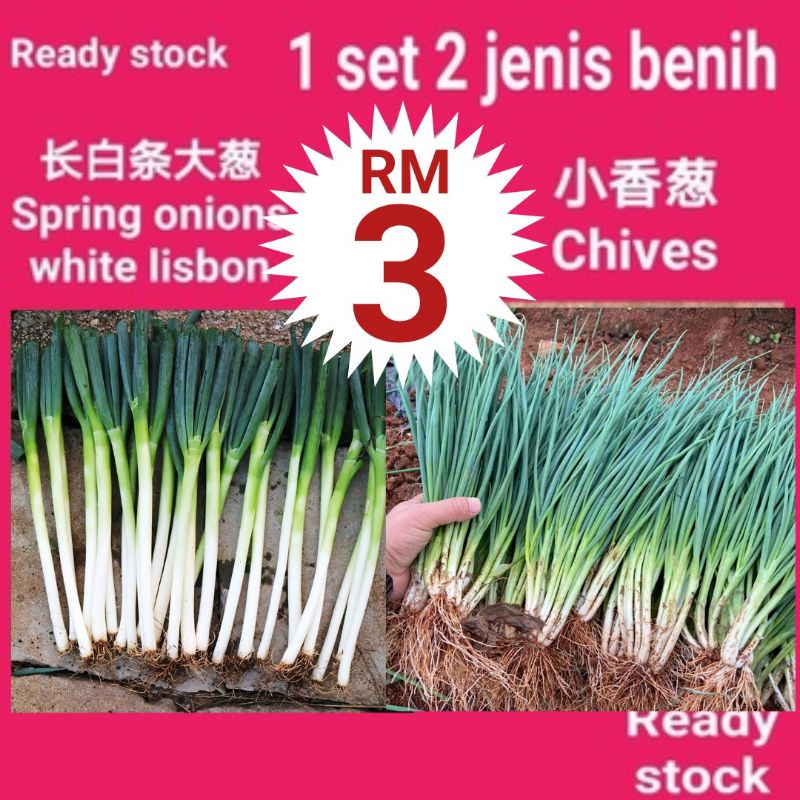 spring onion - Prices and Promotions - Aug 2026 | Shopee Malaysia