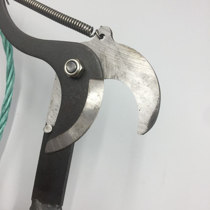 Rambutan Cutter Tree Pruner Trimmer Shear Rambutan Shear Gunting kait ...