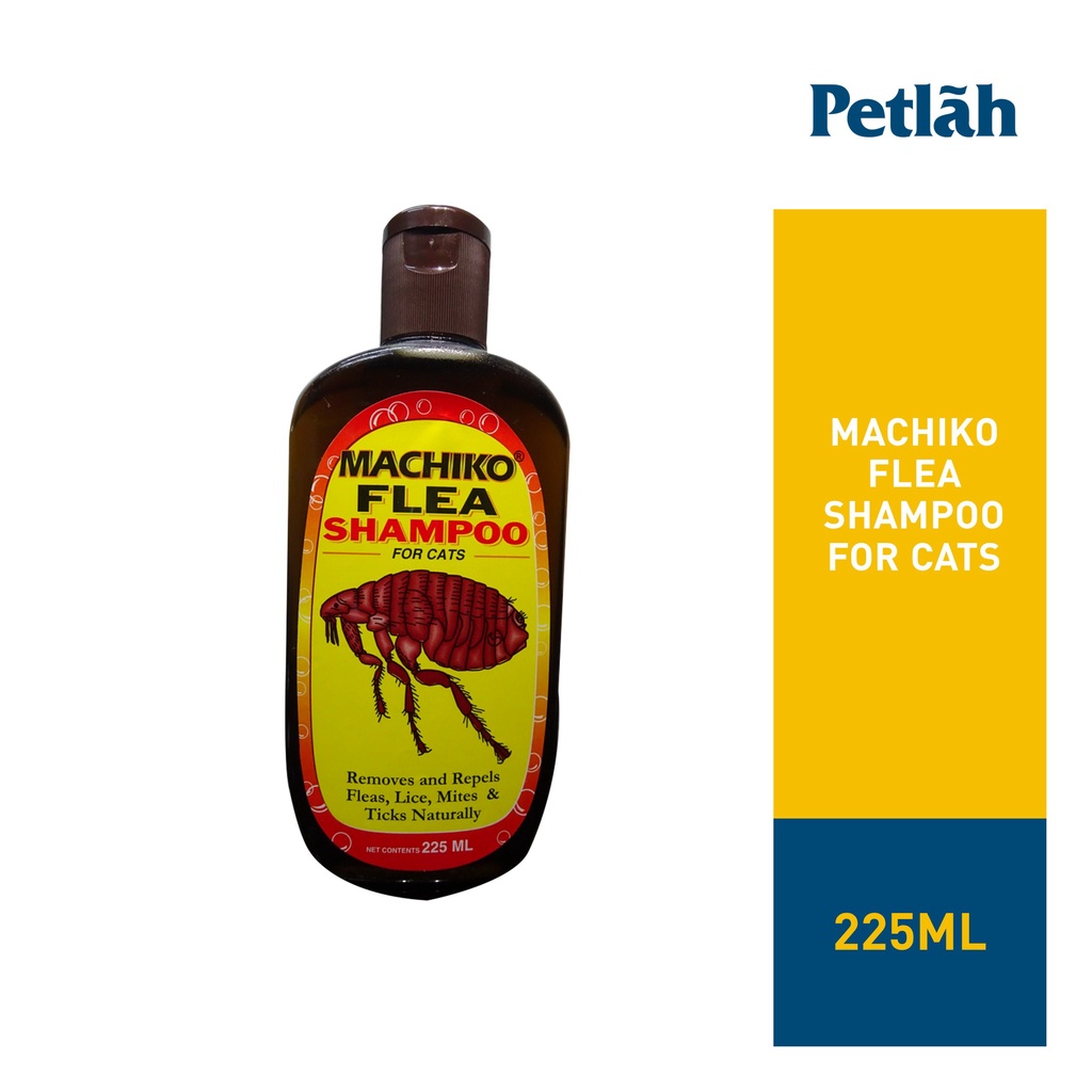 Illustration of Cheapest Generic Flea Shampoo For Cats