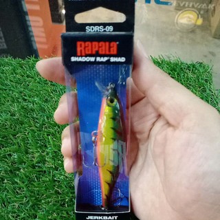 Rapala Shadow Rap Shad Purpledescent