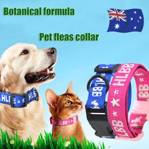 4 in1 Dog cat s Collar 4 Month Control Anti Fleas Ticks Mosquitoes without Box STOCK CLEARANCE Shopee Malaysia