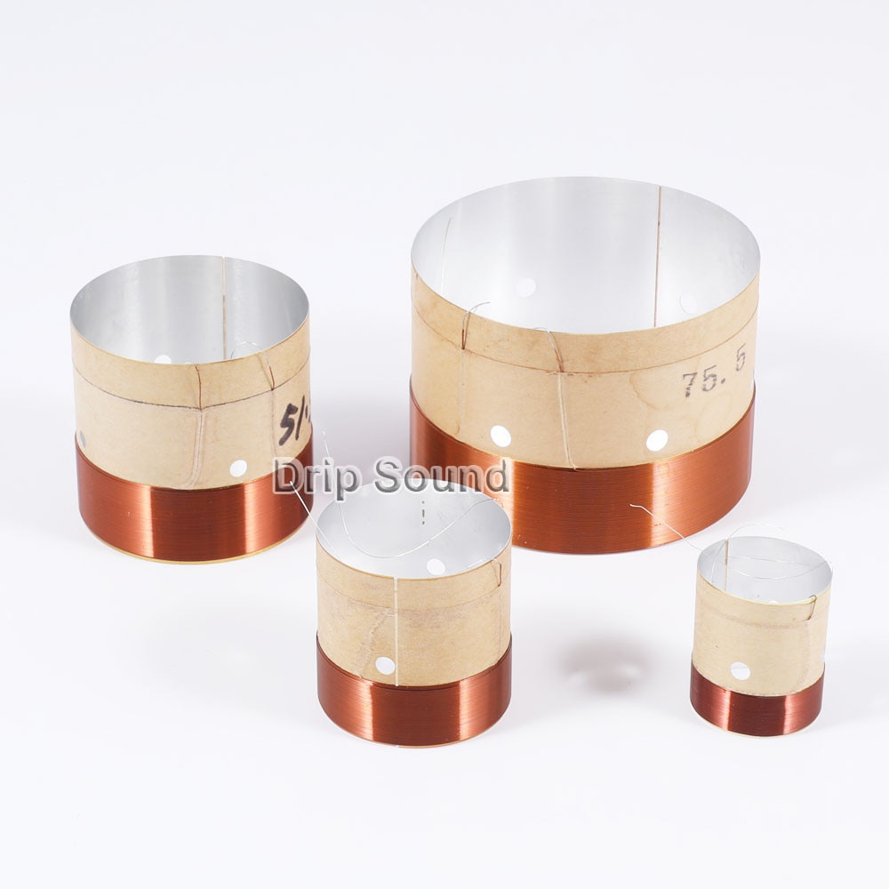 Asv store voice coil