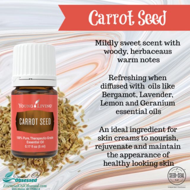 Carrot Seed yl eo + lucky draw Shopee Malaysia