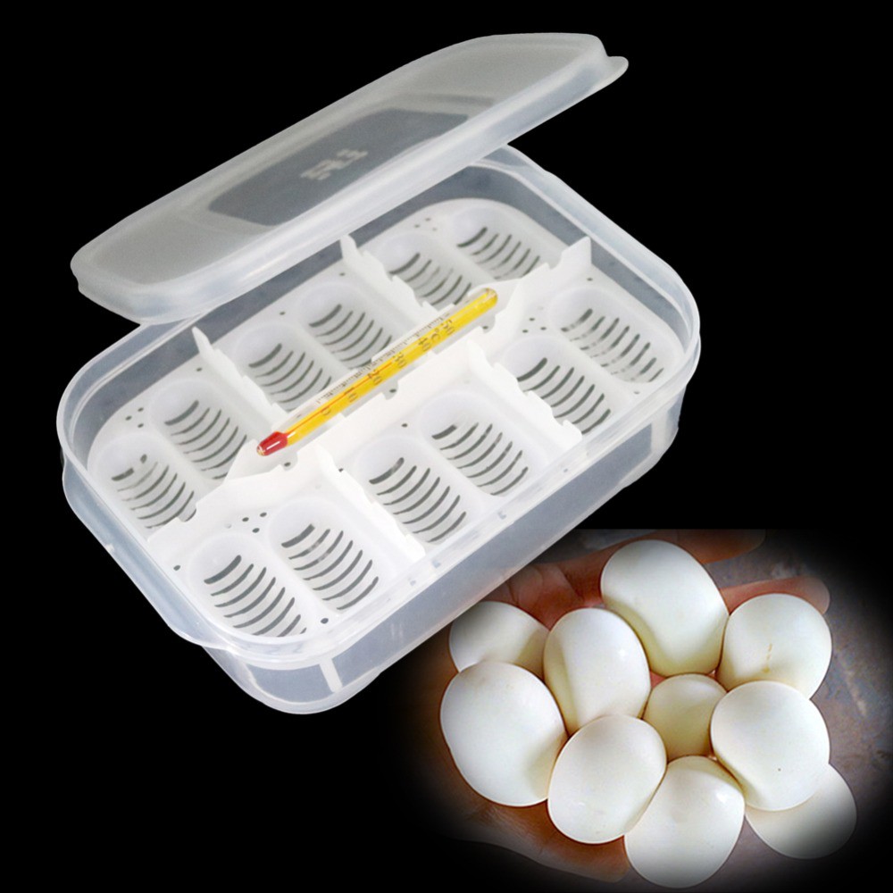 1 12-Hole Reptile Incubation Plate Gecko Lizard Egg Insect Tool ...