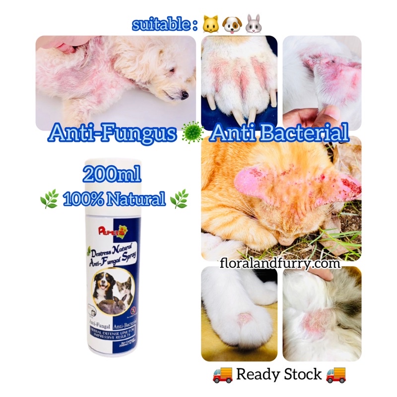 Cat Dog Skin Problem Destress Natural Antifungal Antibacterial Herbal