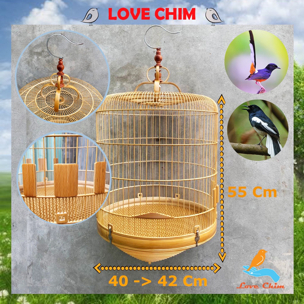 Magpie robin cage, the big bird cage, white-rumped shama cage LOVECHIM ...