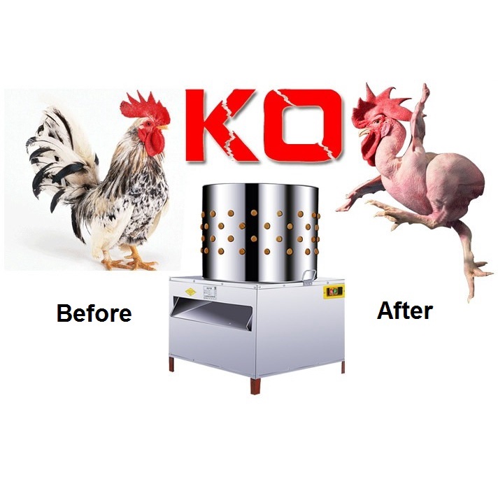 Mesin Cabut Bulu Ayam Puyuh Buang Bulu Ayam Defeathering Machine ...