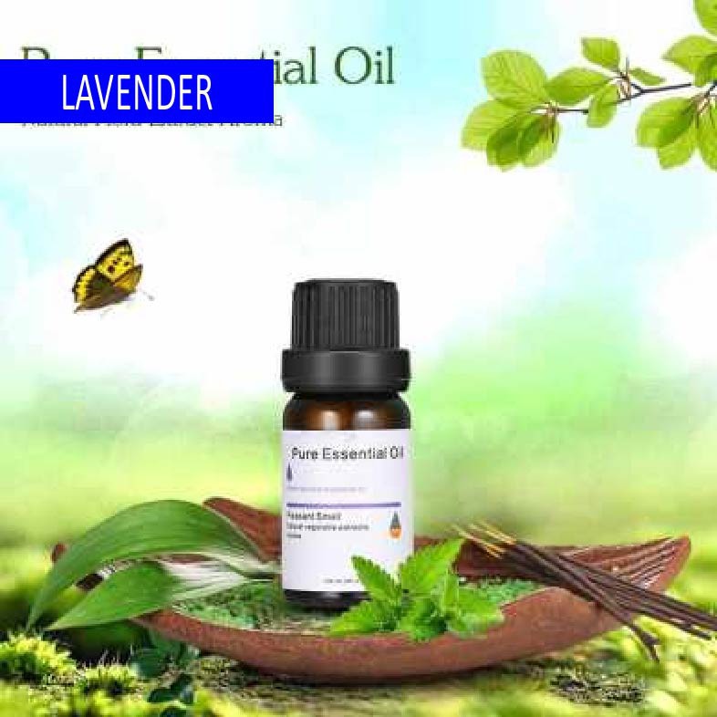 10ml Lavender Pure Essential Oil 6 Shopee Malaysia