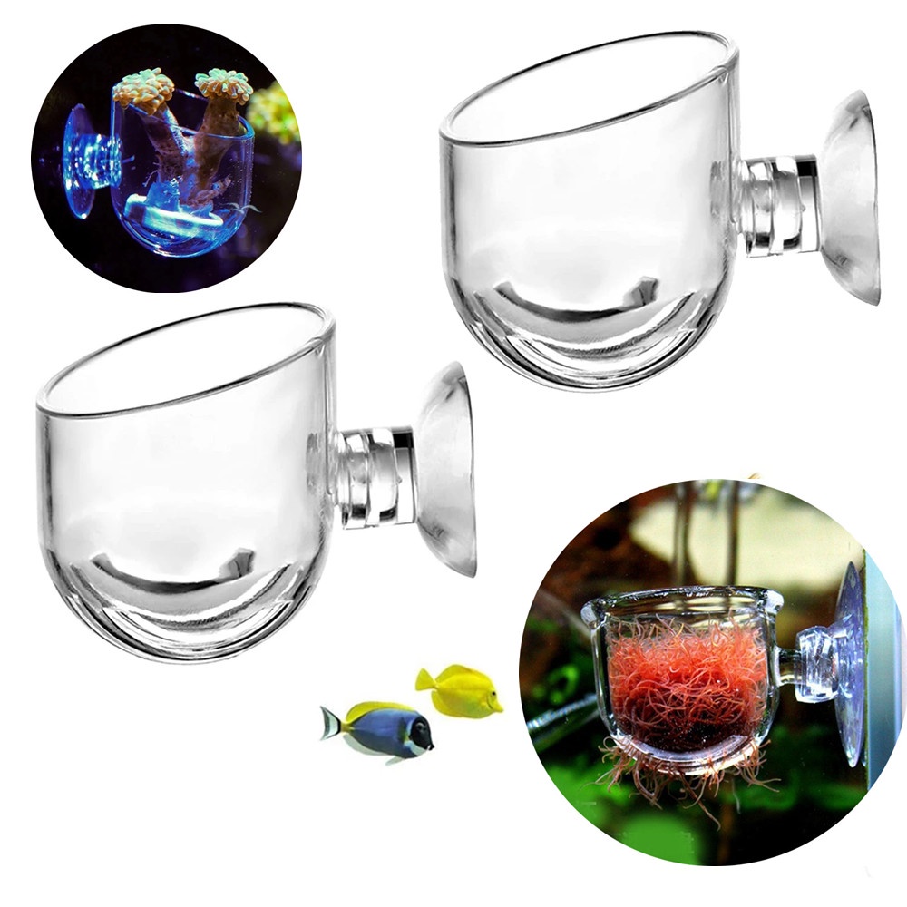 Mini Acrylic Aquarium Plant Cup Decoration Fish Tank Bonsai Coral ...