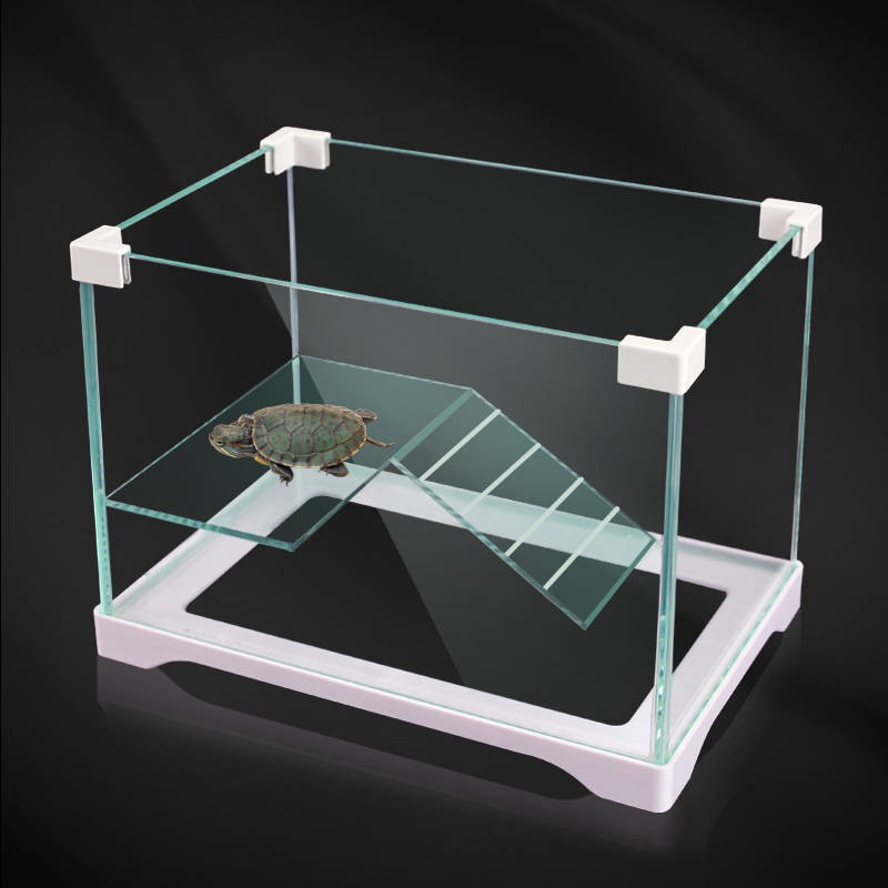 Penyu Kecil Penyu Khas Air atau Tangki Industri dengan Sun Table Glass ...