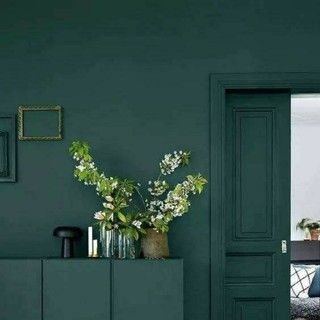 Jotun Paints 5L Essence Cover Plus 7038 Dusk Green / interior wall