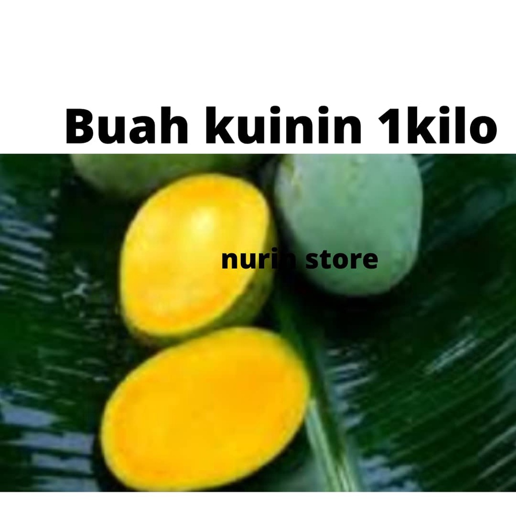 buah kuinin manis buah krini buah kerini buah rare | Shopee Malaysia