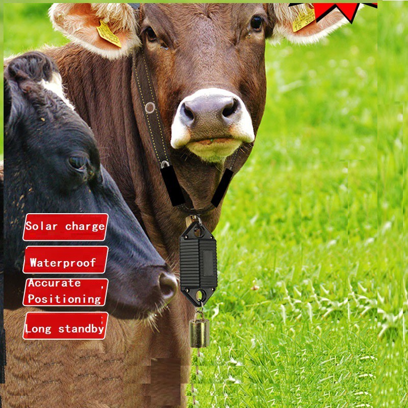 Cow tracker with outlet solar collar