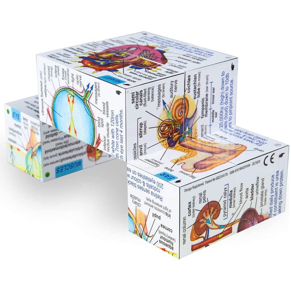 Human Body Systems and Statistics Cube Book (Ready stock) | Shopee Malaysia