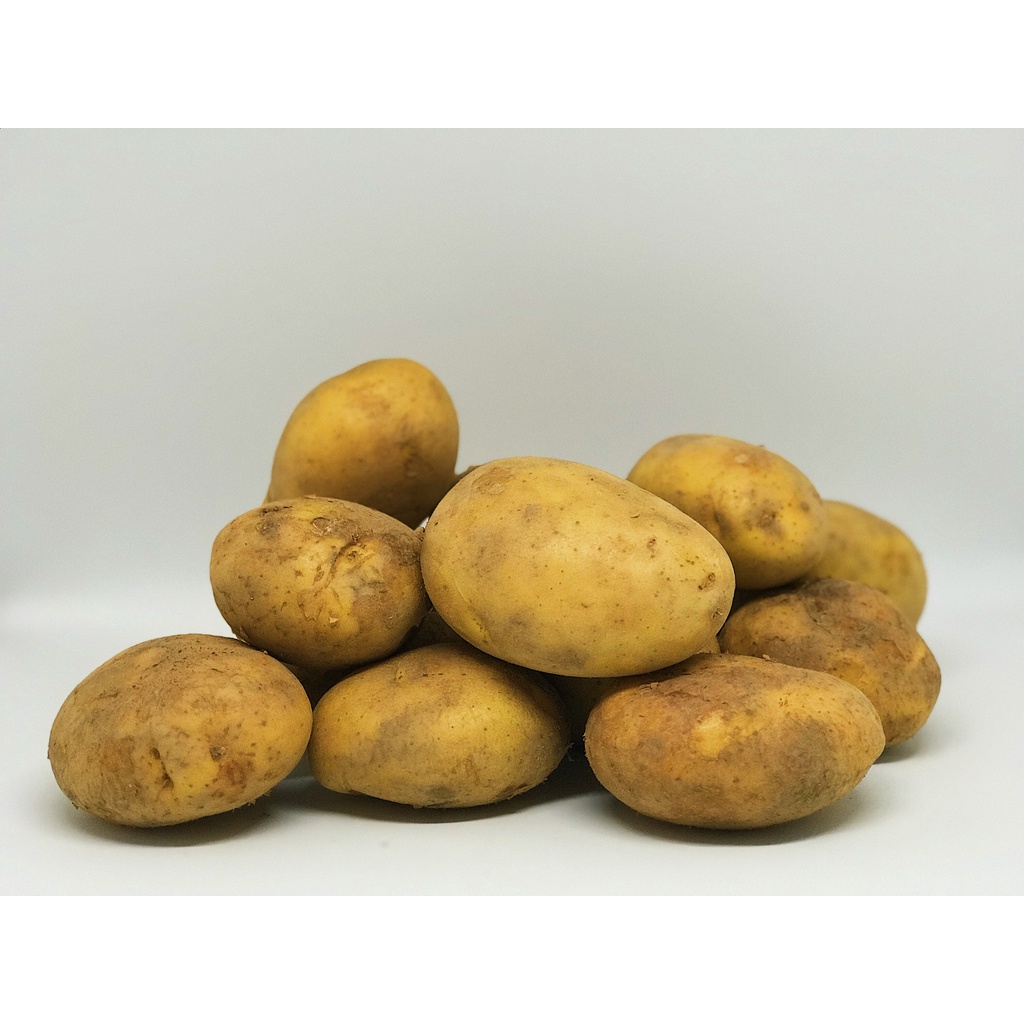 Ubi Kentang Potato 500g 1kg Shopee Malaysia