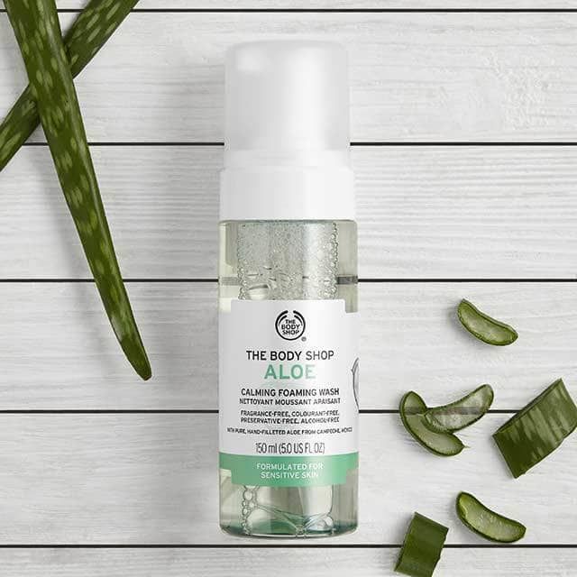 aloe vera t shirt Aloe Me to Introduce Myself T-Shirt