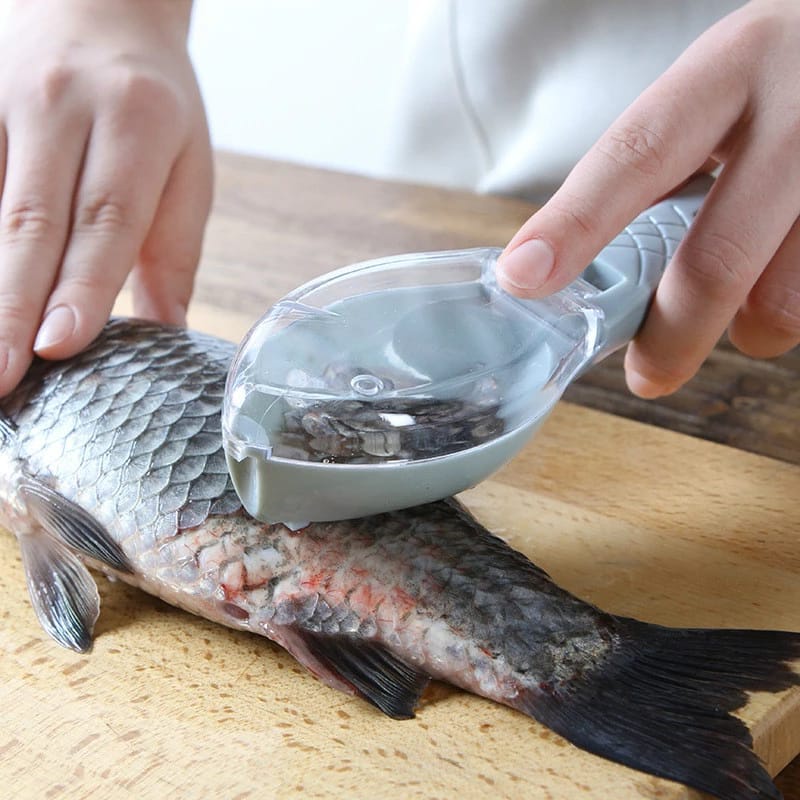 Fish Scales Graters Scraper Fish Cleaning Tool Scraping Scales Device With  Cover Home Kitchen Cooking Fish Tool Kitchen Tools - AliExpress