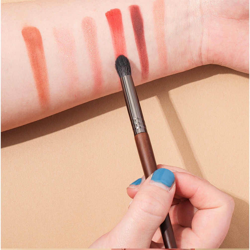 OVW Eye Shadow Brushes set 6Pcs Makeup brush Eye Shader Blending Brush ...