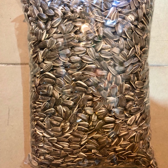 Hamster Food Kuaci Sunflowers Seed 800G Shopee Malaysia