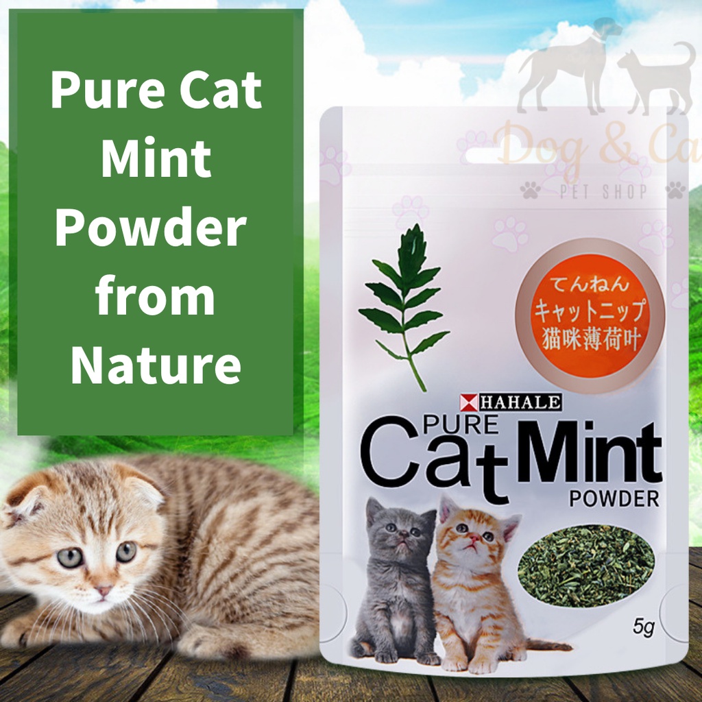 Nature Cat Mint Powder Catnip For Pet Kitten and Cat Serbuk Kitnip kucing Shopee Malaysia