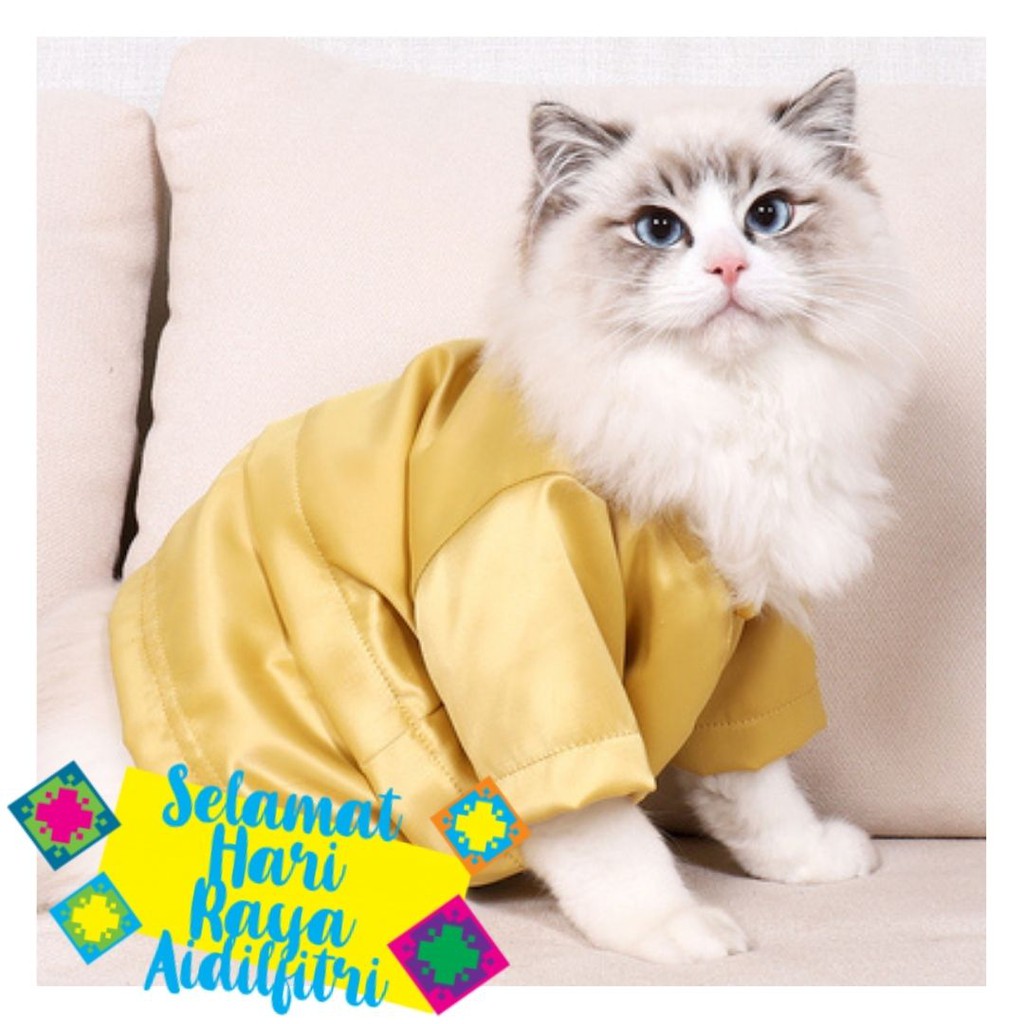 Baju Melayu Kucing Baju Kurung Kucing baju Raya kucing | Shopee Malaysia