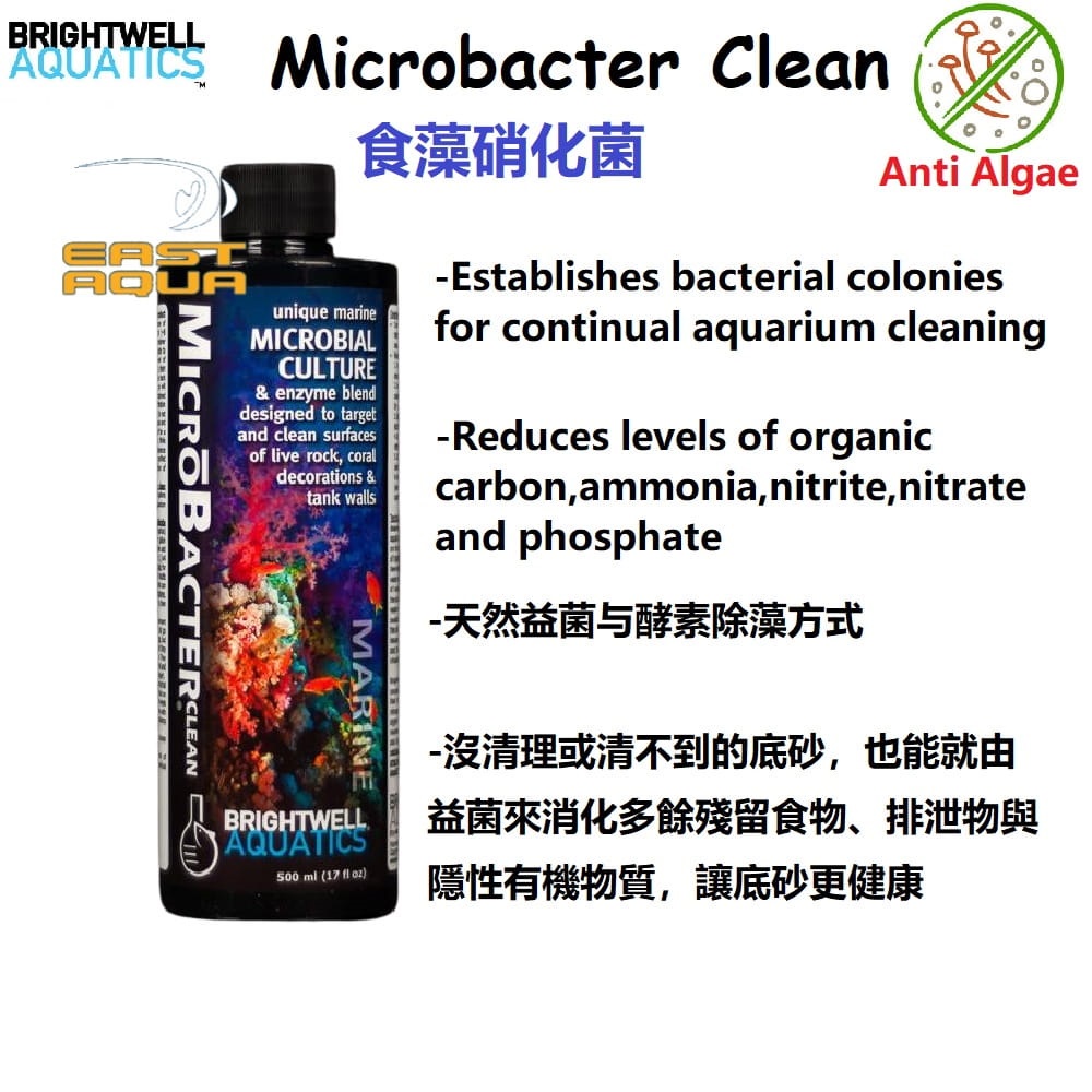 Brightwell MicroBacter Clean 500ml / 2L MarineTank Algae Remover ...
