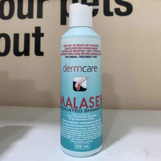 MALASEB MEDICATEE SHAMPOO 250ml Shopee Malaysia