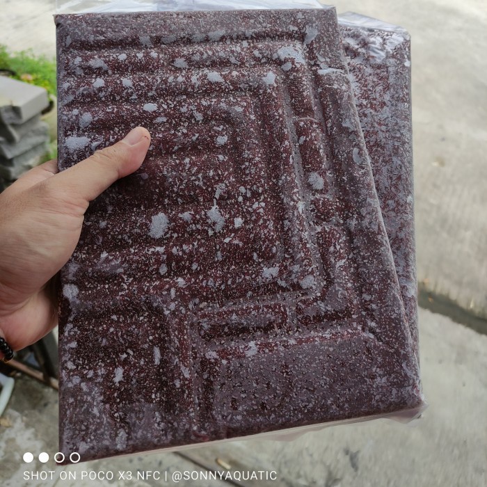 Discus Fish Feed Tray, lohan, Etc. Shopee Malaysia