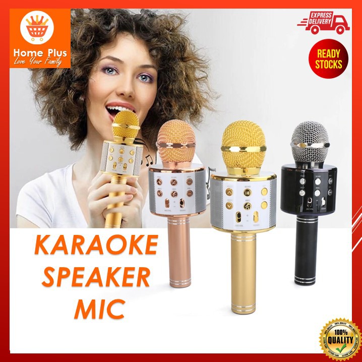 Professional Bluetooth Wireless Microphone Karaoke Speaker KTV Music