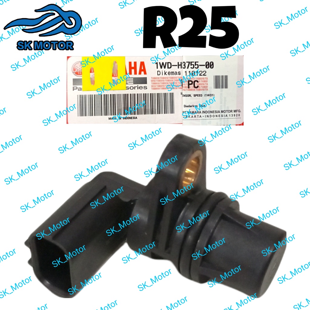 speedo r25