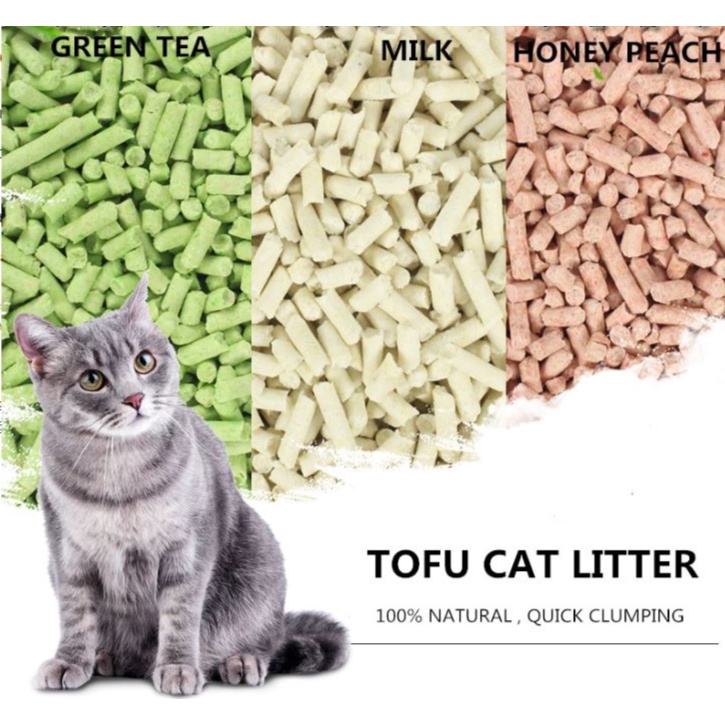 Tofu Cat Litter Ultimate Guide Pros Cons! v9306.1blu.de
