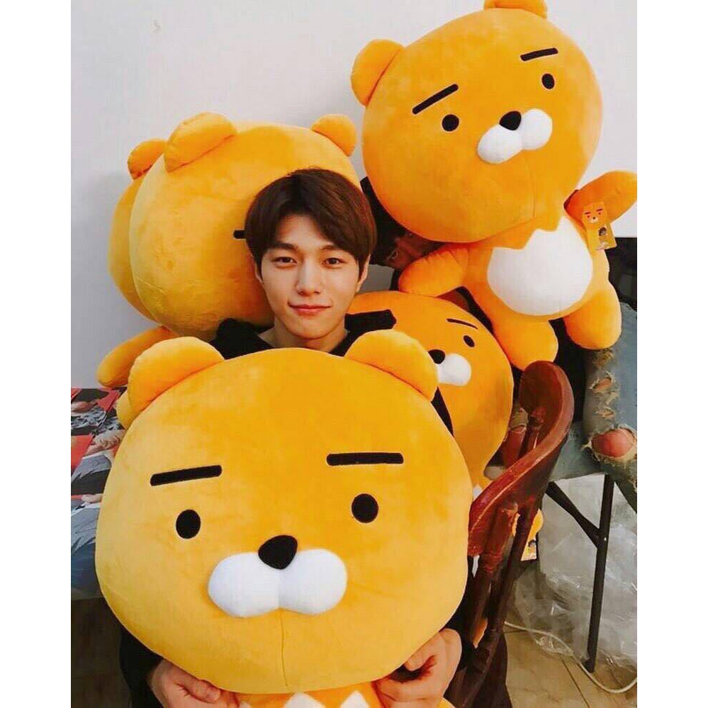 20cm Korean Kakao Friend Lion Ryan Cute Plush Toy Kids Doll Stuffed Toys Anak Patung Shopee Malaysia