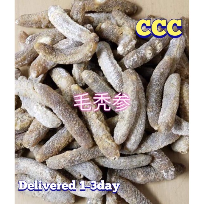 【READY STOCK /100g/毛秃参/ Sea Cucumber / Sand Fish / Gamat | Shopee Malaysia