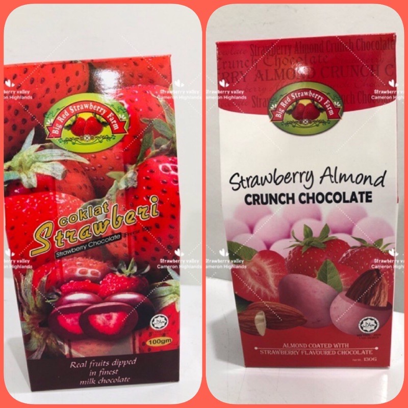 Chocolate strawberry 🍓 viral 🔥🔥from Cameron highlands | Shopee Malaysia