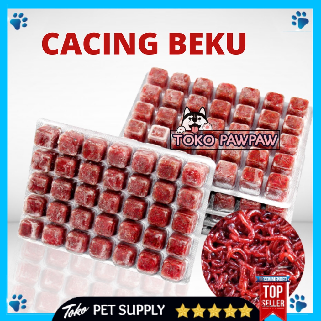 Sakura FROZEN WORMS 100GR FROZEN FRESH BLOOD WORMS TROPICAL AQUATIC