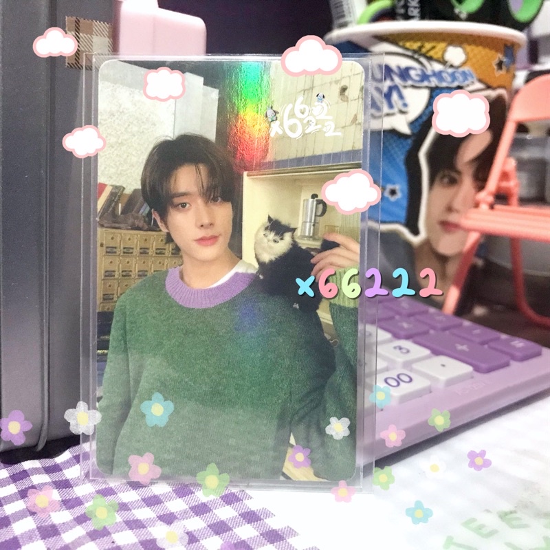 Enhypen jake chary holo photocard pc catmeong | Shopee Malaysia
