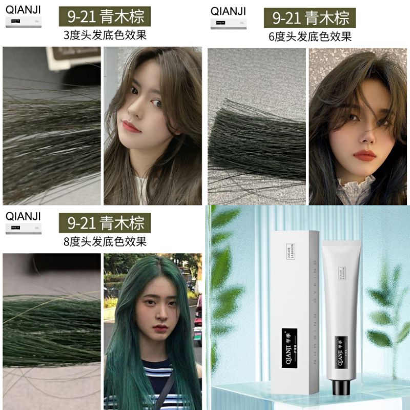 QIANJI (SHINAIZI/PURESTYLE/MOGE) PROFESSIONAL JAPANESE HAIR COLOR (KRIM