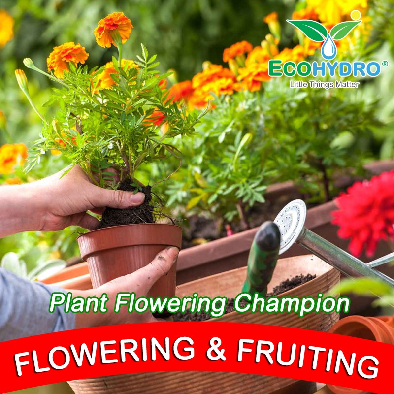 300g Blooming & Fruiting Fertilizer Baja Flowering Foliar Made in EU