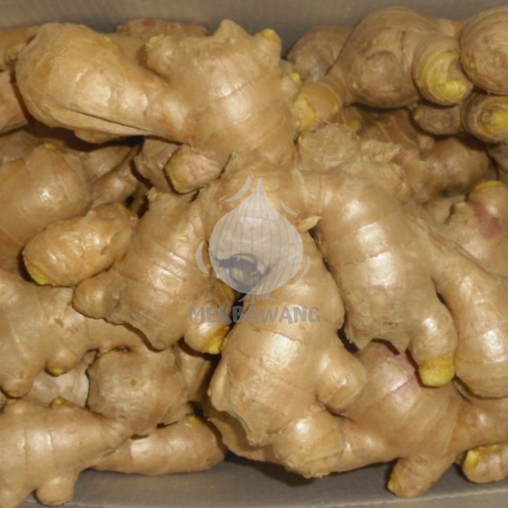 Halia Tua Ginger China 老姜 500G | Shopee Malaysia