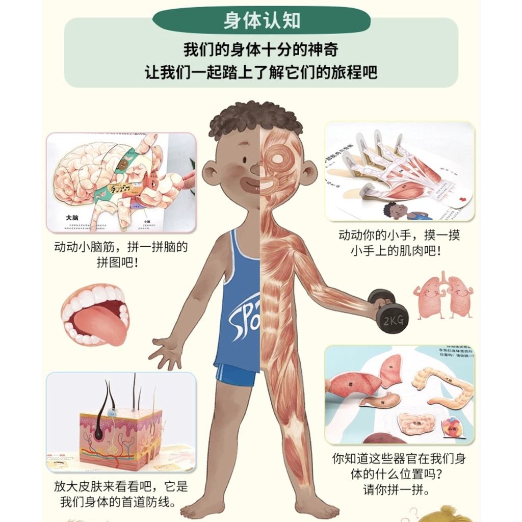 我们的身体】3D立体书机关书科普百科全书精装绘本早教育启蒙绘本