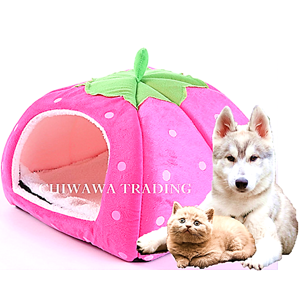 Strawberry cat outlet bed