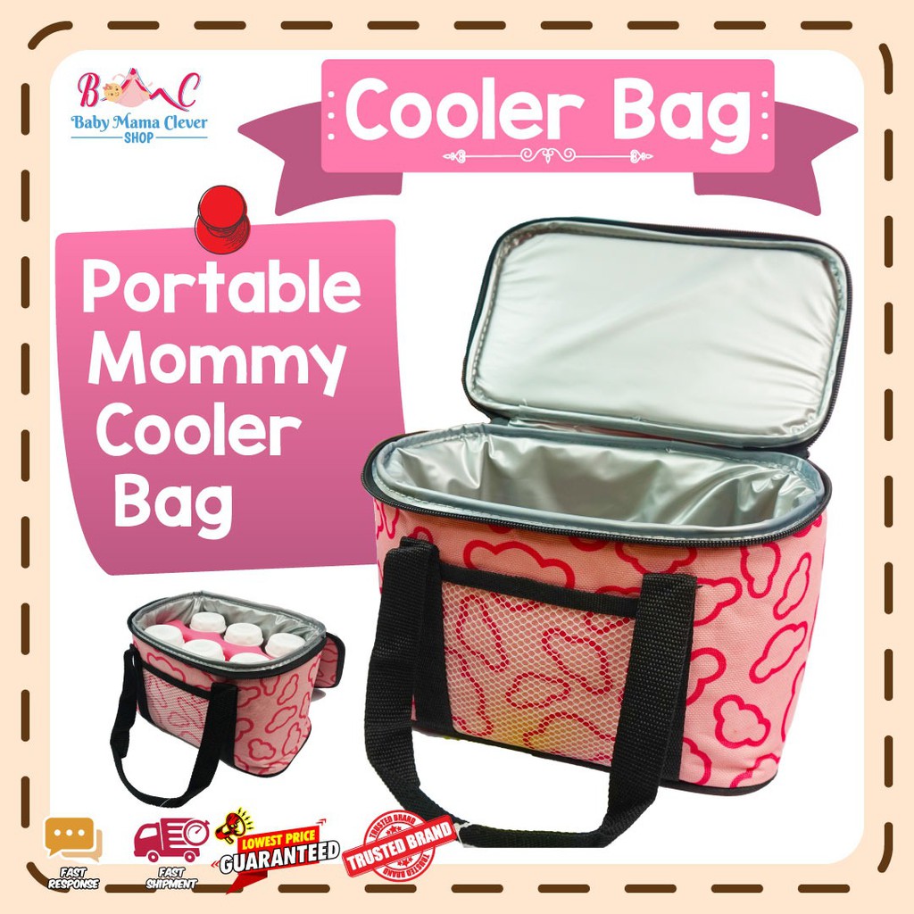 Breastmilk cooler deals bag