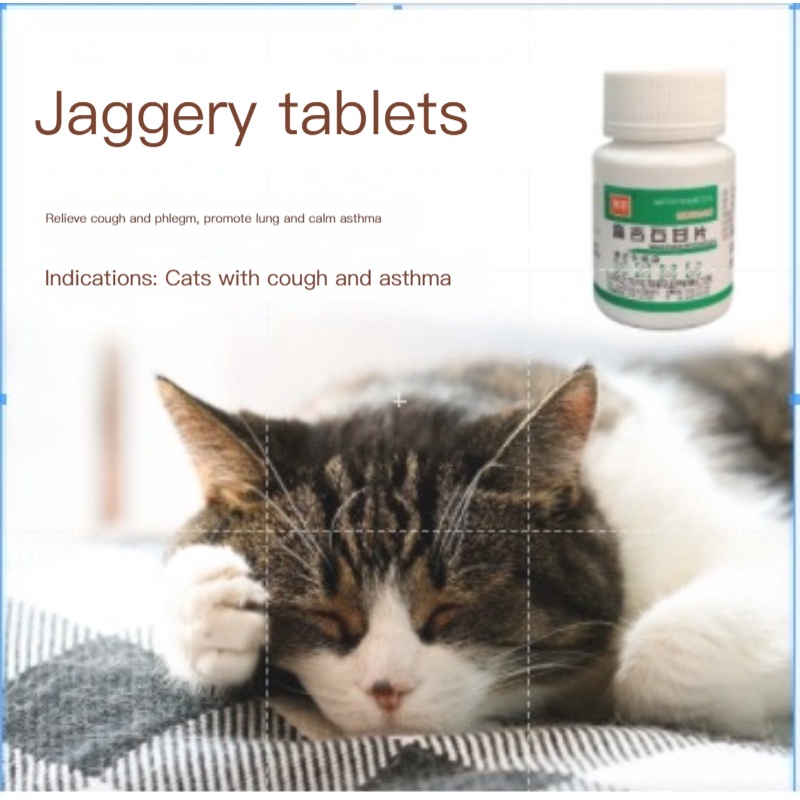 Dogs and cats have a cold, cough, sneeze, pant, respiratory tract