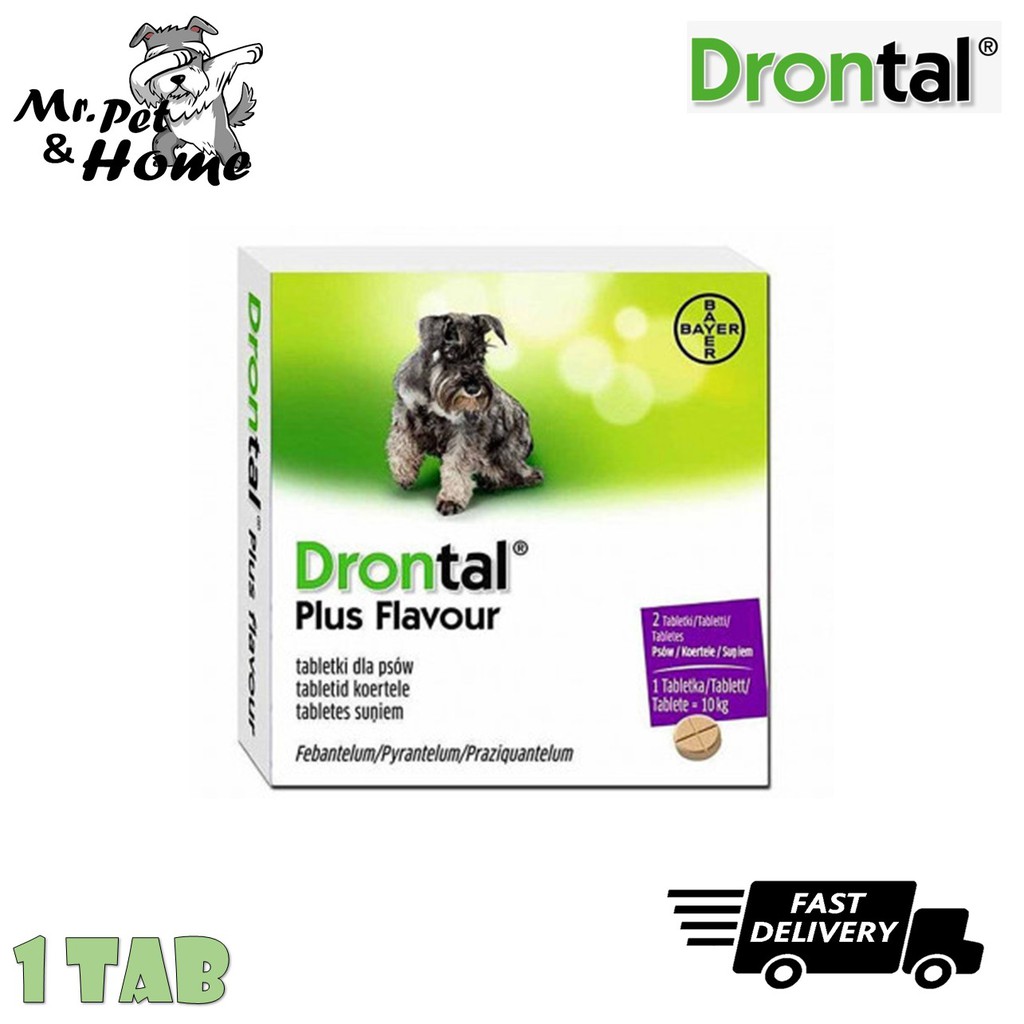 Bayer Drontal Dog Tasty Bone 1 Tab (10KG) 1PCS Shopee Malaysia