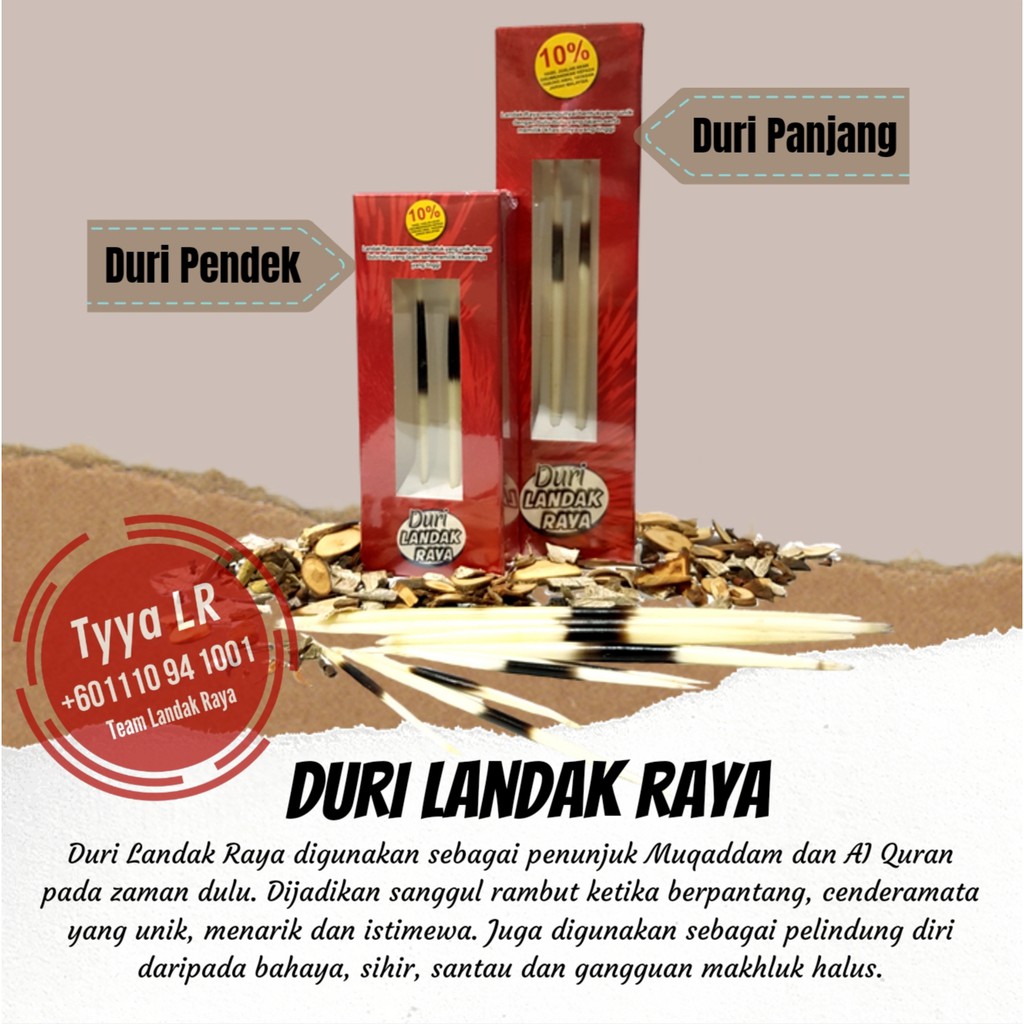 ORIGINAL Duri Landak Raya (Cap Landak Raya) Porcupine Thorn | Shopee ...