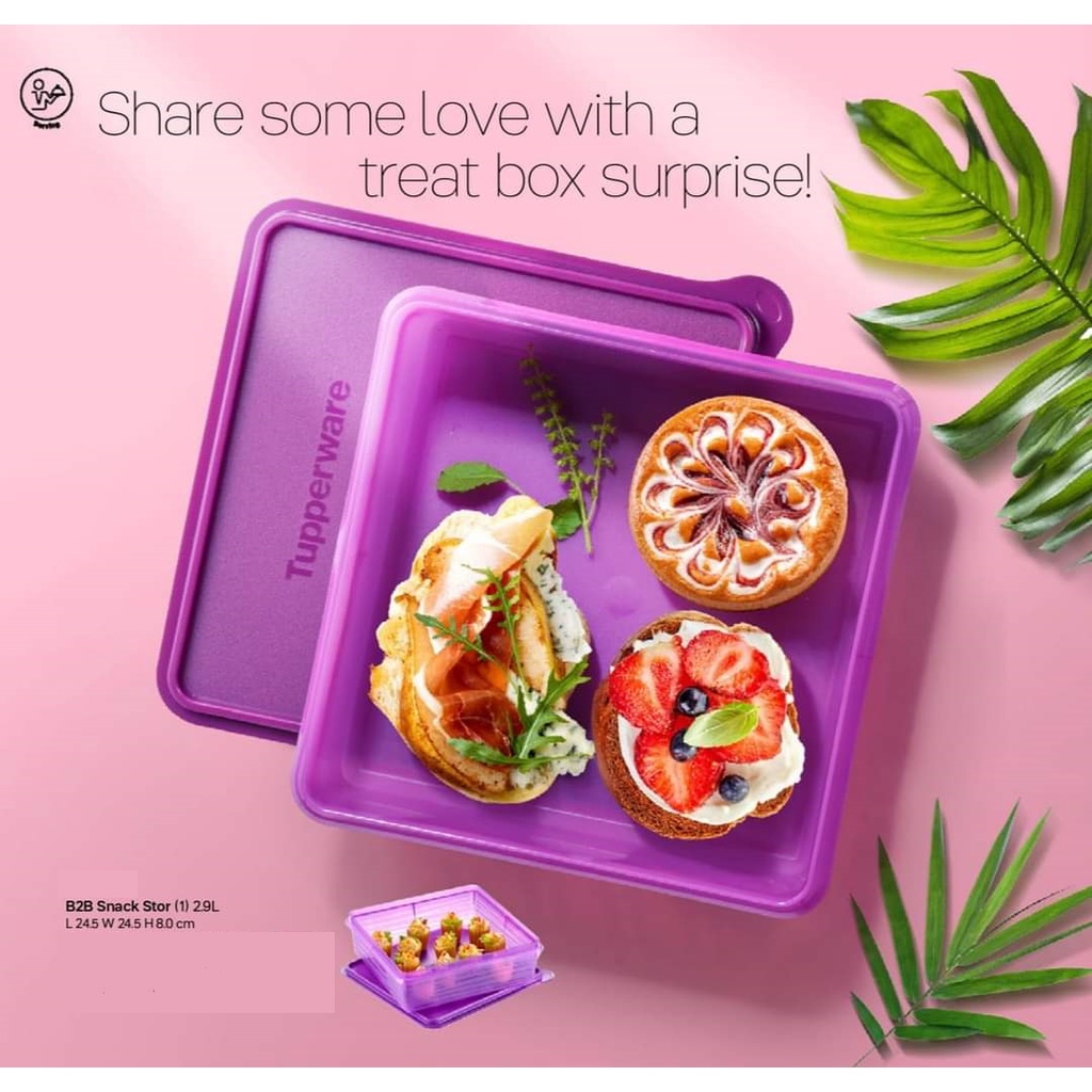 Tupperware Snack Stor 2.9L Large, Space Saving, Stackable, Airtight Food Storage (2pcs Set