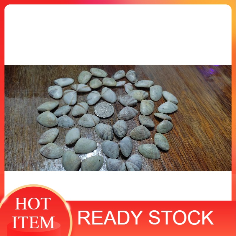 [BEST BUY] KULIT REMIS HIASAN (150GRAM) | Shopee Malaysia
