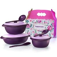 TUPPERWARE SERVEWARE PURPLE ROYALE | Shopee Malaysia